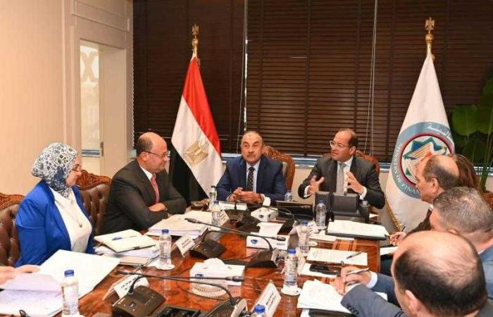 وزيرا قطاع الأعمال العام والمالية يبحثان تعزيز التعاون في عدد من الملفات المشتركة