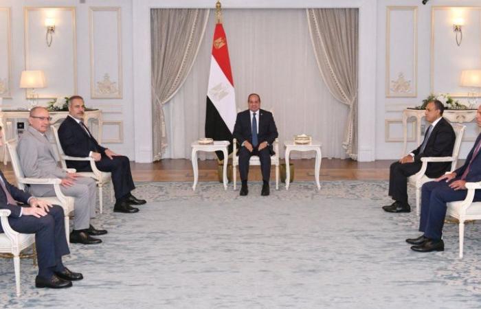 الرئيس السيسي يستقبل وزير خارجية تركيا