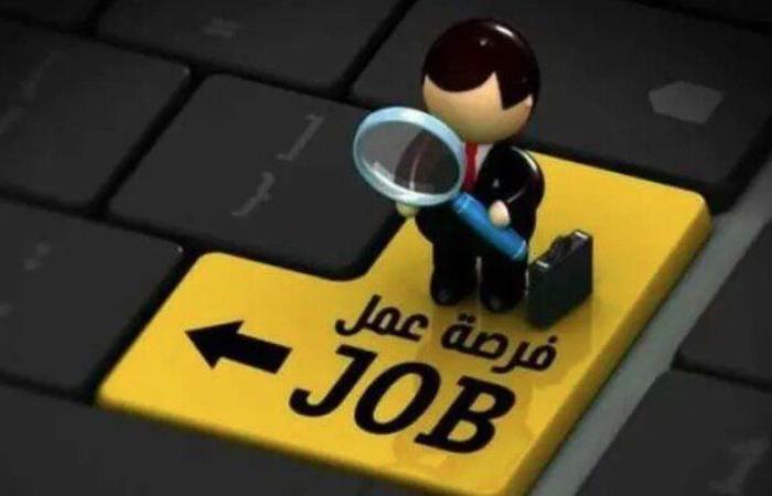 «براتب 9000 جنيه».. وظائف خالية لجميع المؤهلات والأوراق المطلوبة