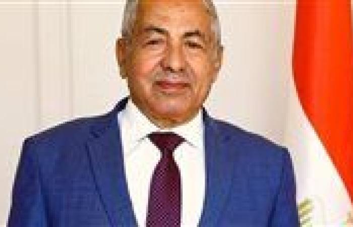 حماة الوطن: نجاح انتخابات مجلس الشيوخ 2025 يعكس ما تتمتع به الدولة من استقرار