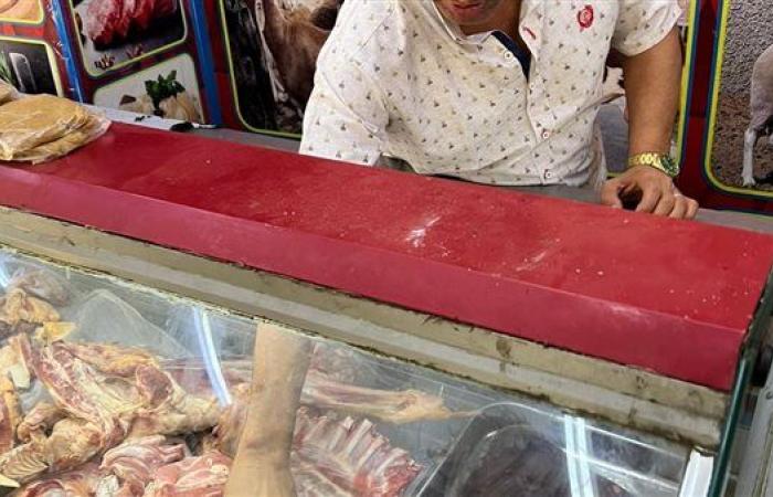 بالصور.. ضبط 13 طن لحوم ودواجن ومنتجات حيوانية فاسدة في الجيزة