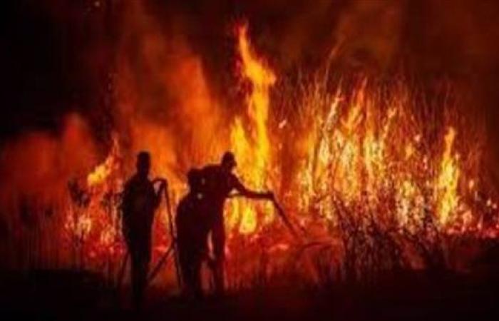 رجال الإطفاء يواصلون العمل لاحتواء أسوأ حريق غابات تشهدها فرنسا منذ عقود