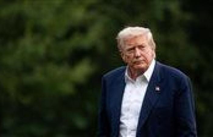 رسوم ترامب تهدد توت الآساي البرازيلي.. صناعة صحية عالمية في مهب الريح