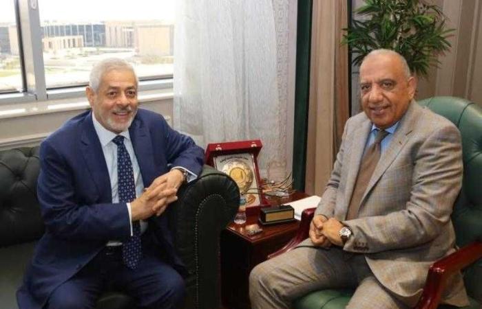 وزير الكهرباء يبحث مع شركة ”AMEA POWER” الإماراتية زيادة التعاون في مجالات الطاقة المتجددة