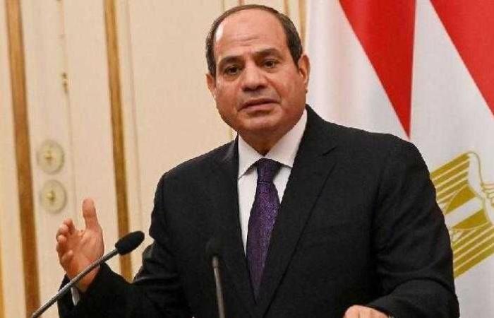 السيسي يوافق على صرف زيادة البدل النقدي المقترح من الحكومة للصحفيين