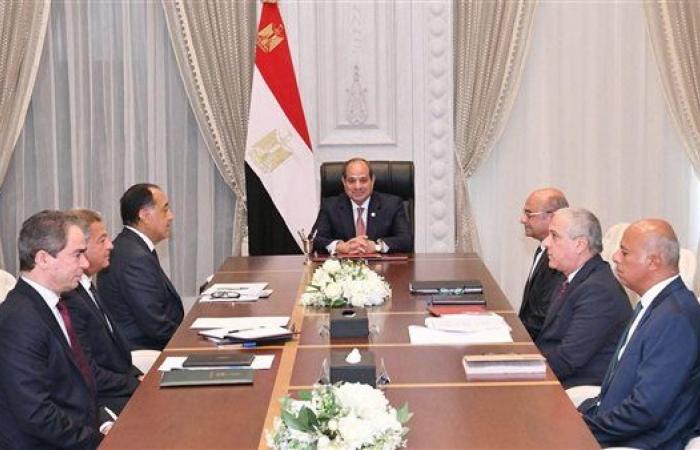عاجل.. الرئيس السيسي يوافق على زيادة البدل ...