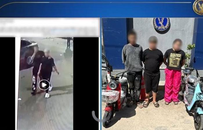 وزارة الداخلية تضبط لصي "الإسكوتر" في الإسكندرية.. فيديو