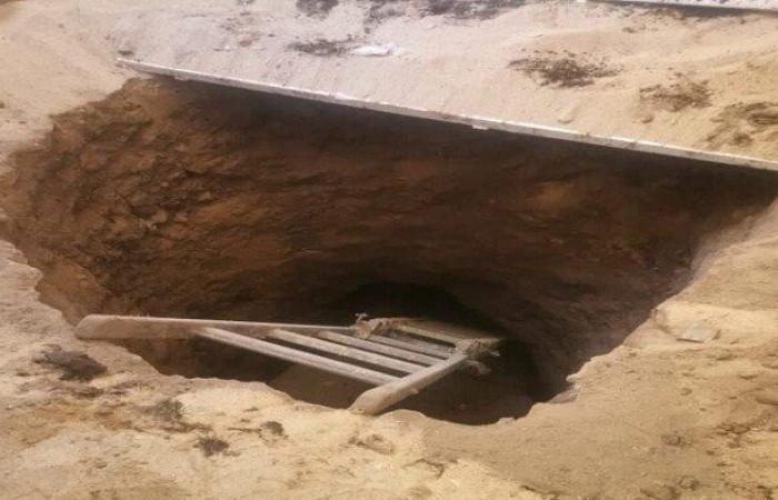 القبض على 5 أشخاص بتهمة التنقيب عن الآثار بالمنوفية