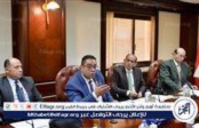 اللجنة الفنية الدائمة لـ "التصدي للشائعات" بـ "الأعلى للإعلام" تعقد اجتماعها الدوري