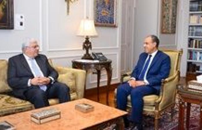وزير الخارجية يستقبل وزير التعليم العالي والبحث العلمي