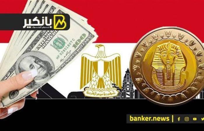 حصار الدولار.. مصر تنجح في القضاء على أزمة نقص العملة والجنيه راجع من تاني