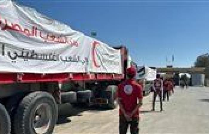 عبور 160 شاحنة مساعدات إغاثية إلى قطاع غزة عبر منفذ كرم أبو سالم