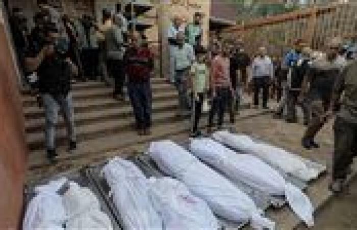 ارتفاع حصيلة شهداء حرب إسرائيل على غزة إلى 61 ألفًا 599 فلسطينيًا