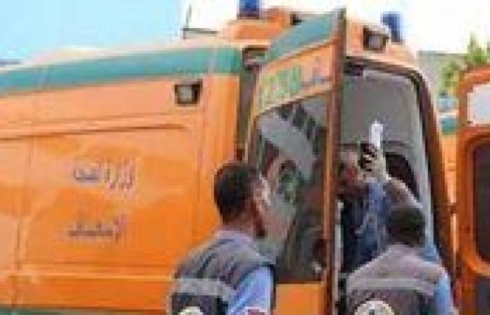 مصرع طالب وإصابة اثنين إثر تصادم موتوسيكل وتروسيكل في سوهاج