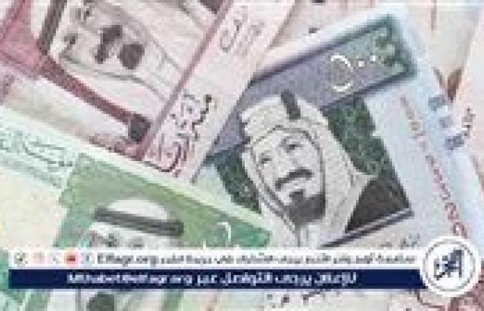 استقرار الريال السعودي أمام الجنيه المصري في البنوك المصرية اليوم