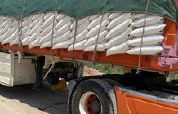 جنوب سيناء توزع 300 طن أسمدة مدعومة لدعم المزارعين وزيادة إنتاج القمح