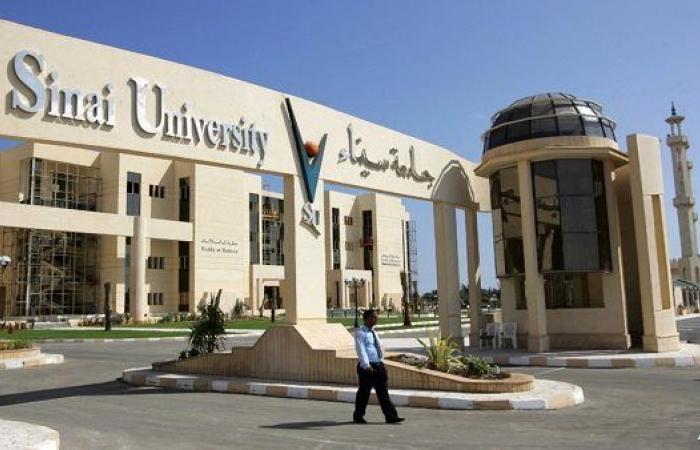 وظيفة جامعة.. جامعة سيناء تعلن وظائف أعضاء هيئة التدريس في 4 كليات.. قدم الآن