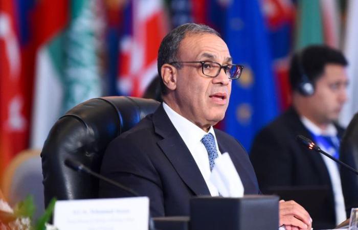 وزير الخارجية: المزايدة على دور مصر "إفلاس" ويشتت الانتباه عن جرائم اسرائيل