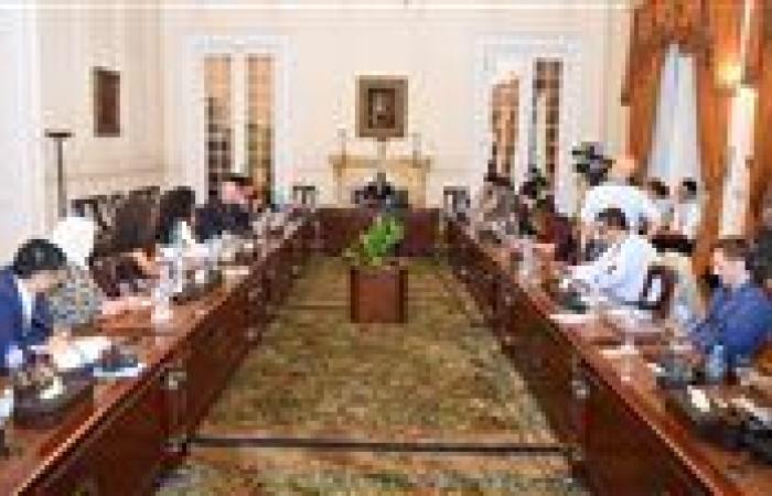 وزير الخارجية يستعرض محددات الموقف المصرى من التطورات الإقليمية مع ممثلي وسائل الإعلام الأجنبية المعتمدة بمصر