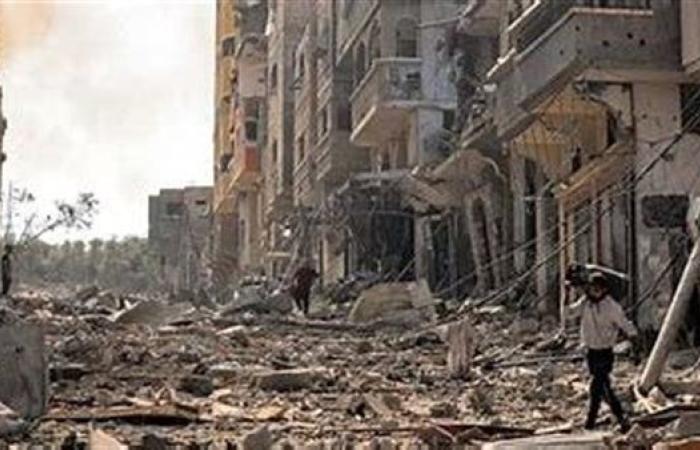 التلولي: مصر ثابتة في موقفها تجاه القضية الفلسطينية وتسعى بجدية لإحياء المفاوضات