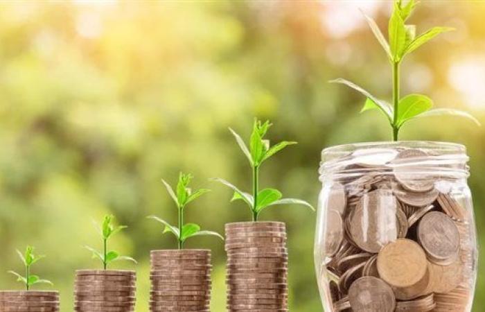 بعوائد تصل لـ 20%.. أفضل 5 شهادات ادخار بعائد شهري ثابت في البنوك المصرية