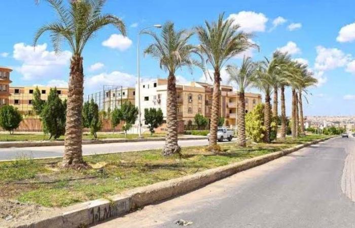 18 و19 أغسطس ..إجراء 3 قرعات علنية لتسكين المواطنين بأراضي توفيق الأوضاع بالعبور الجديدة