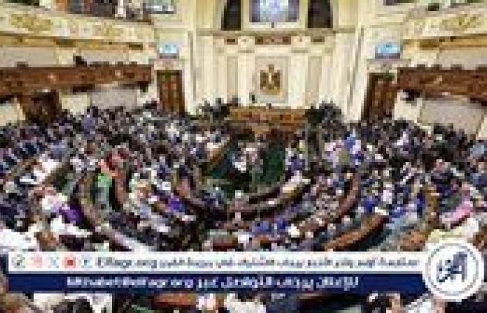 بعد إقراره بالانعقاد الخامس.. تفاصيل مشروع قانون التصرف في أملاك الدولة الخاصة