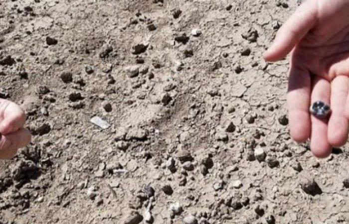 اكتشاف نوع جديد من البشر الأوائل يكشف فصلاً مفقودًا في تاريخ التطور