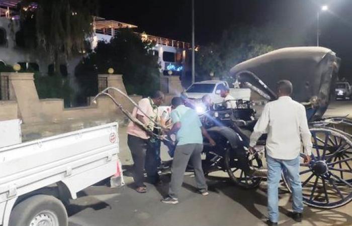 حملة لضبط عربات الحنطور المخالفة بأسوان وتشكيل لجنة لمواجهة المظاهر السلبية