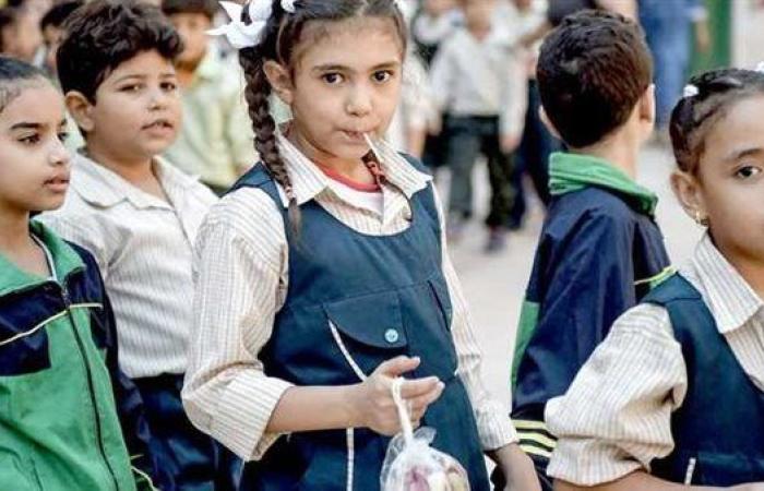 موعد غلق باب التحويلات المدرسية بالقاهرة.. اعرف التفاصيل