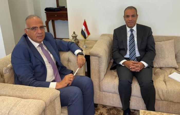 لقاء بين وزيري الخارجية والموارد المائية: تنسيق مستمر للدفاع عن مصالح الأمن القومي