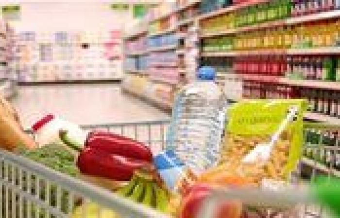 عاجل| بعد 10 أيام من إطلاقها.. لماذا لا يشعر المواطن بمبادرة الحكومة لخفض الأسعار؟
