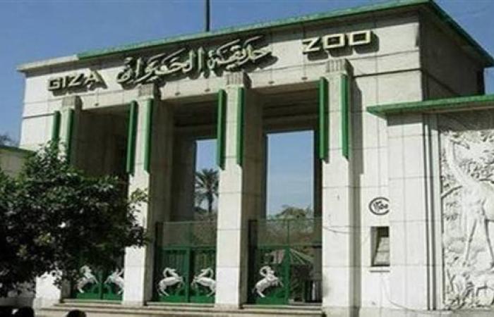 بدء العد التنازلي لافتتاح حديقة حيوان الجيزة وجدل سعر التذكرة| اعرف آخر التطورات
