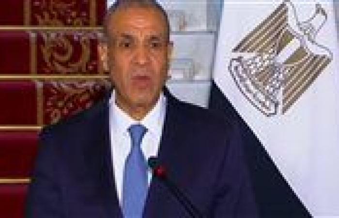 وزير الخارجية: سنغافورة تعد خامس أكبر مستثمر أجنبي في السوق المصرية