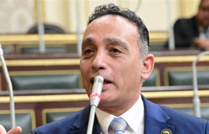 أول تحرك برلماني بسبب حرائق القليوبية