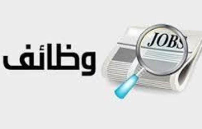 فرص عمل مميزة في شركة أمان:: "التفاصيل وكيفية التقديم"