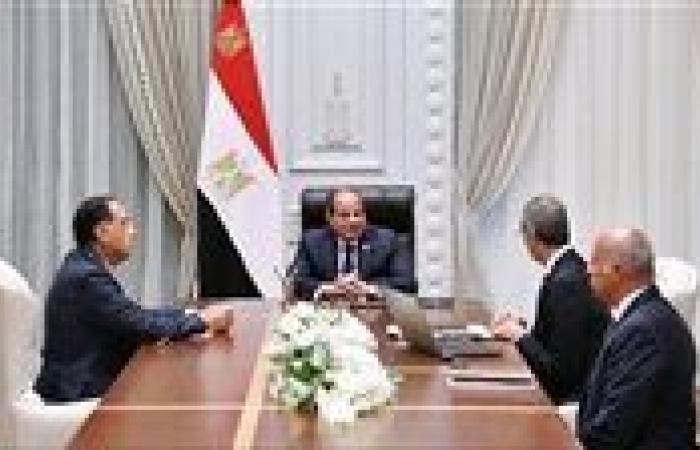 عاجل.. السيسي يوجه بوضع استراتيجيات واضحة وقابلة للتنفيذ لتطبيق الذكاء الاصطناعي