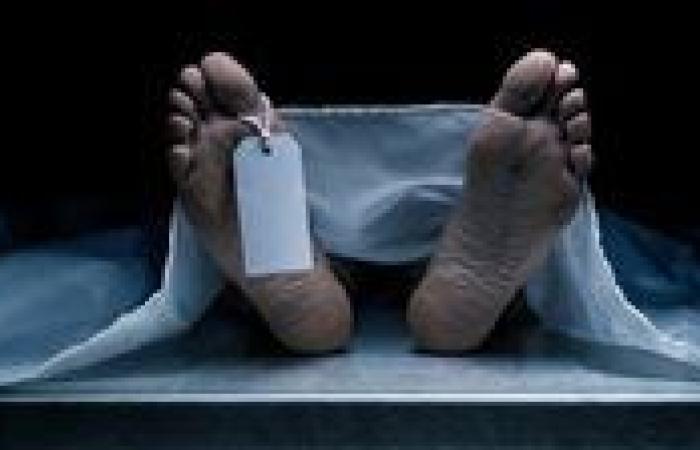 مصرع شاب بطلق ناري على يد نجل عمه خلال مشاجرة بالمحلة الكبرى
