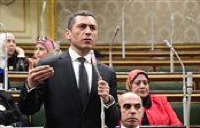النائب محمد السلاب: ضوابط التصرف في الأراضى الصناعية خطوة استراتيجية لدعم القطاع الصناعى