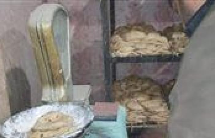 تحرير 15 محضر ضد أصحاب مخابز بلدية وسياحية بالغربية