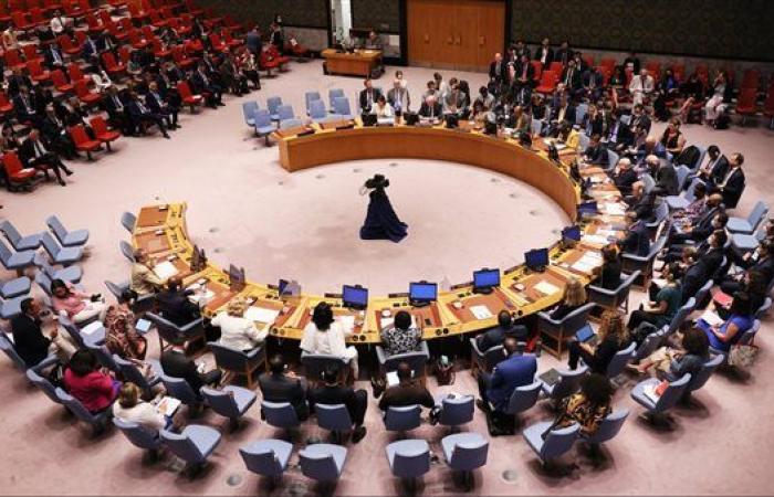 عاجل..مجلس الأمن يعقد جلستين بشأن جنوب السودان وجورجيا