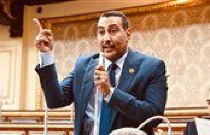 النائب محمد الجبلاوي: مصر قادت جهودًا حاسمة لوقف إطلاق النار في غزة