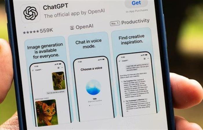 OpenAI تطلق اشتراك ChatGPT Go منخفض التكلفة في الهند