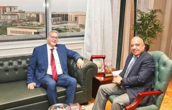 «الكهرباء والبترول»: خطة تكاملية لتوطين الصناعة وخفض استهلاك الوقود وزيادة الاعتماد على الطاقات المتجددة