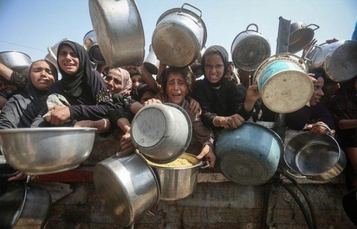 3 وفيات نتيجة المجاعة وسوء التغذية بغزة خلال الـ24 ساعة الماضية