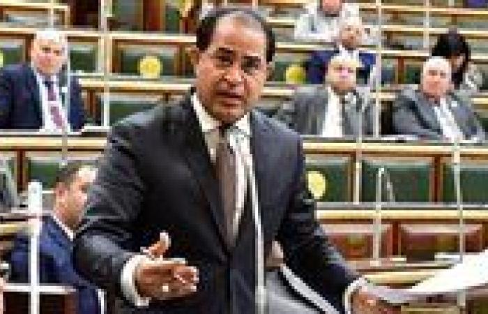 النائب سليمان وهدان: مصر أثبتت أنها الضامن الإقليمي الأقرب للقضية الفلسطينية