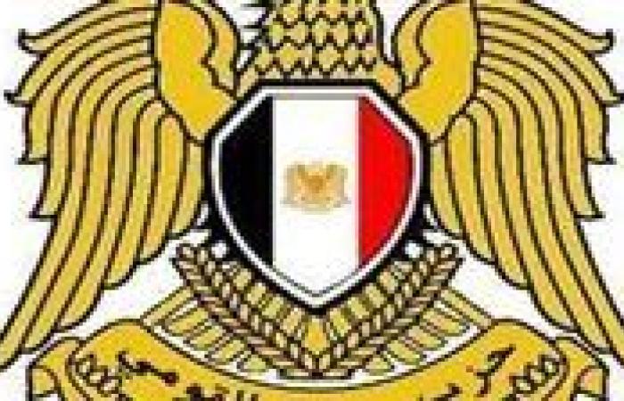 حزب "مصر القومي" يشارك في مائدة مستديرة حول "الحوكمة الرقمية للأبناء في زمن التيك توك والترندات"