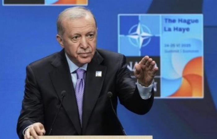أردوغان وأمين عام الناتو يناقشان الضمانات الأمنية لأوكرانيا