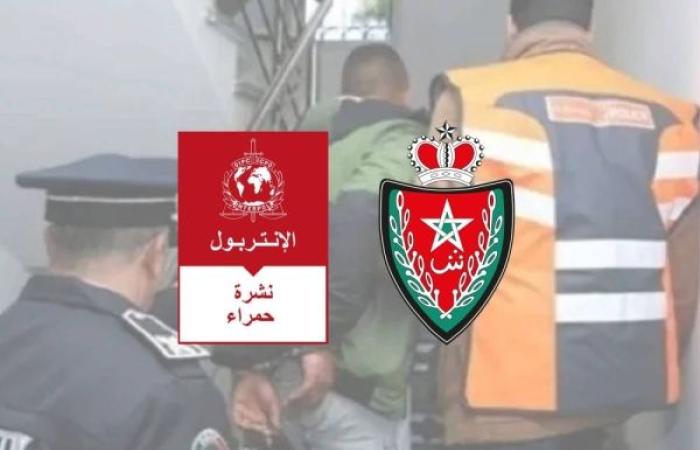 طنجة.. توقيف دنماركي من أصل فلسطيني مبحوث عنه دوليا في جريمة قتل عمد بالسلاح الناري