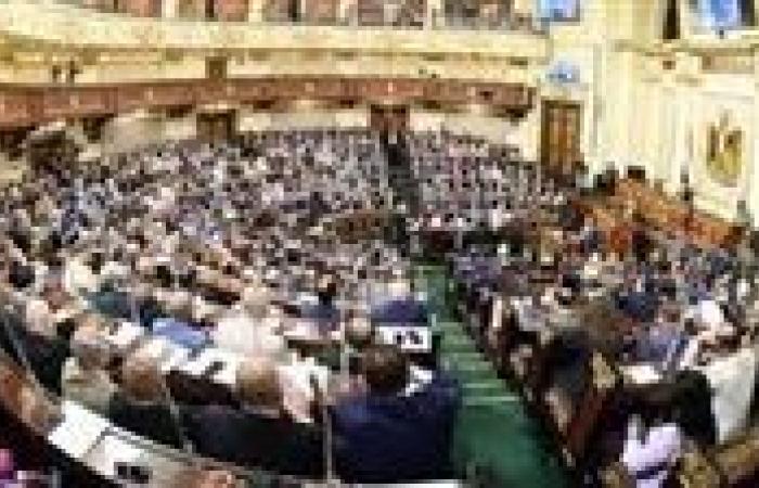 القفزة الكبرى في الحماية الاجتماعية.. هل نحن أمام تحول حقيقي في معيشة الموظف؟